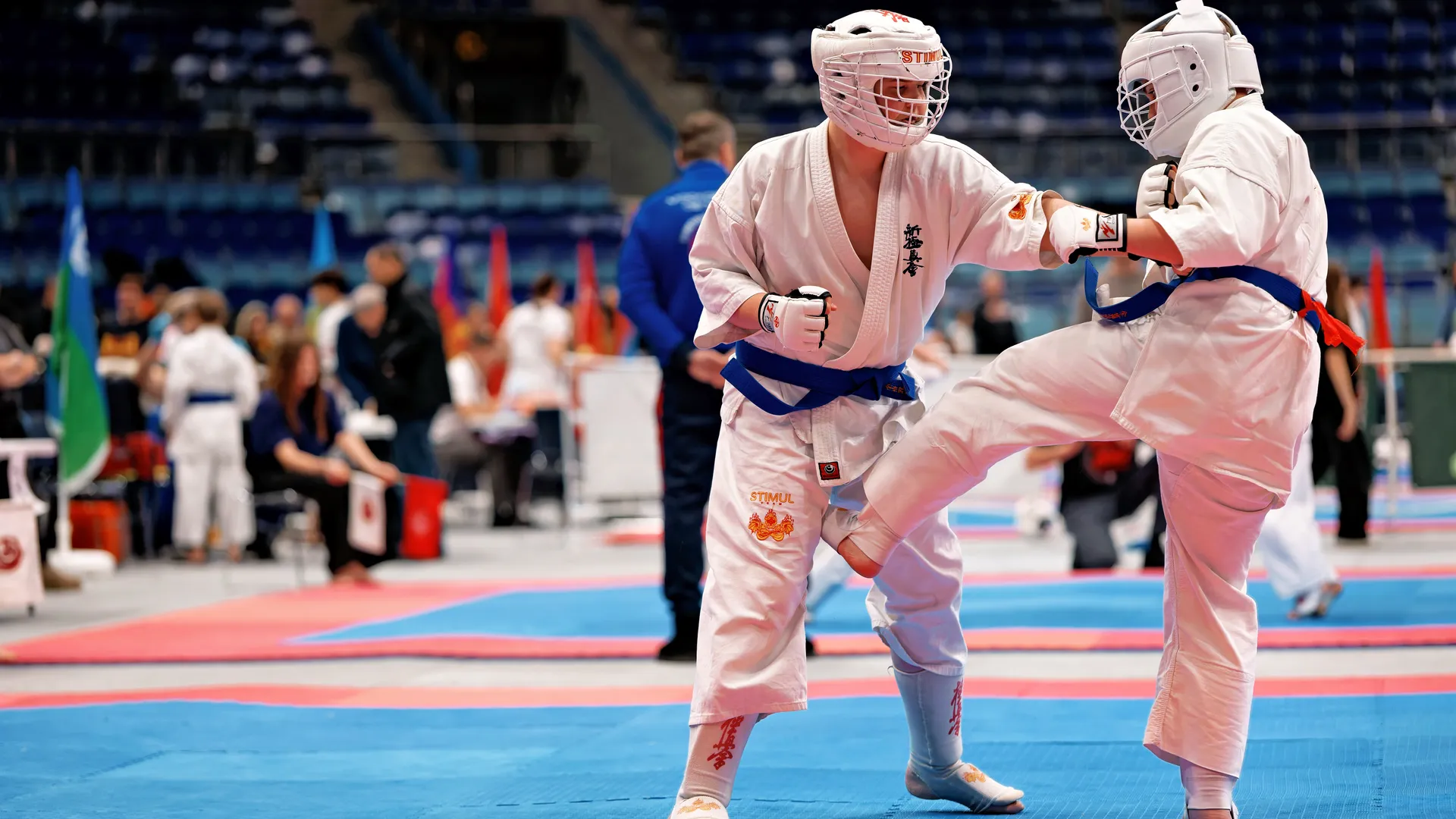 Фестиваль спортивных единоборств и боевых искусств «Кубок Равноапостольного Николая Японского» в Мытищах