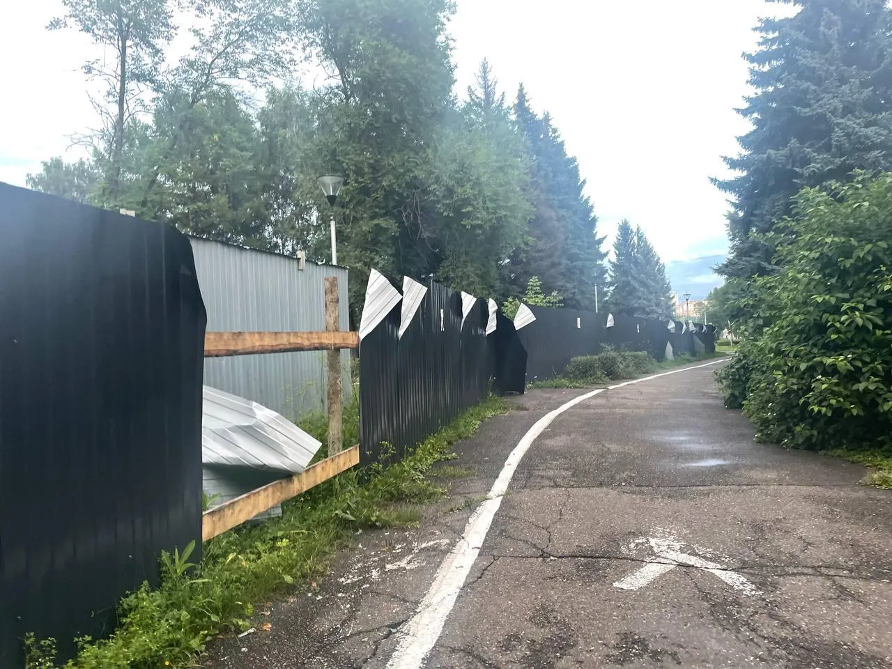 «СтальМедиа»