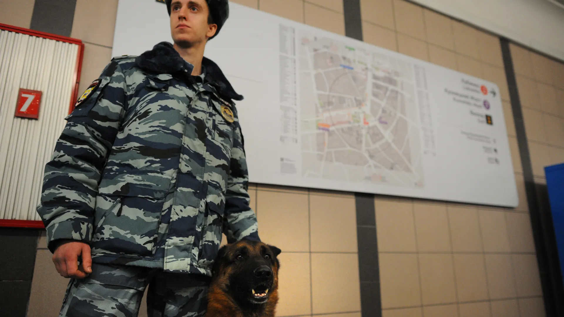 Досмотровые зоны Московского метрополитена