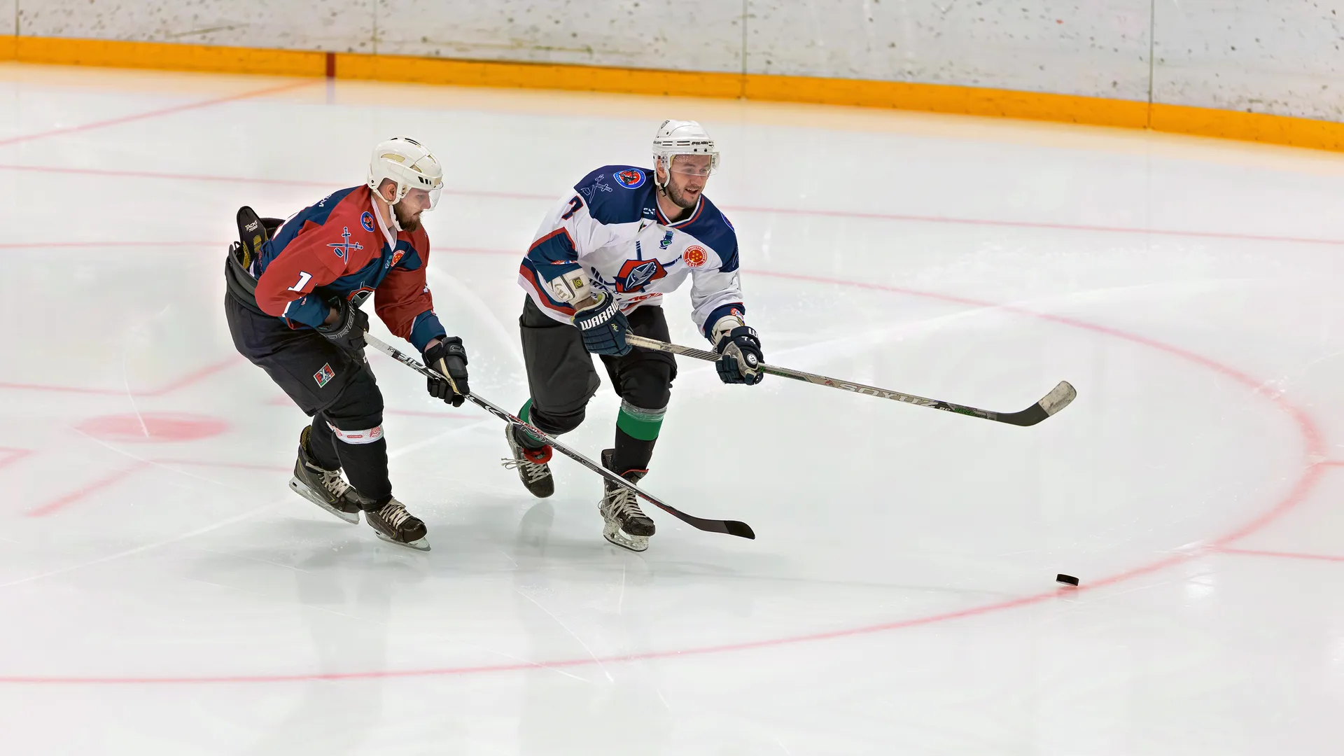 Команда Академии хоккея им. Ю. Е. Ляпкина против Звездной сборной в благотворительном хоккейном матче