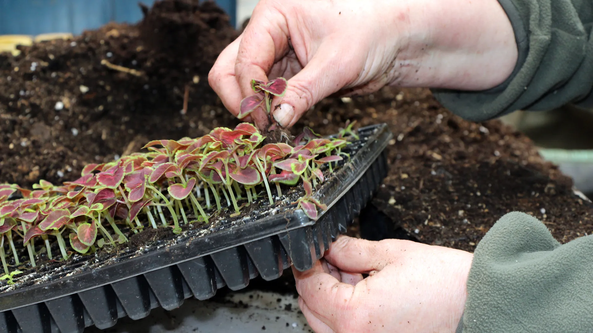 Медиасток.рф