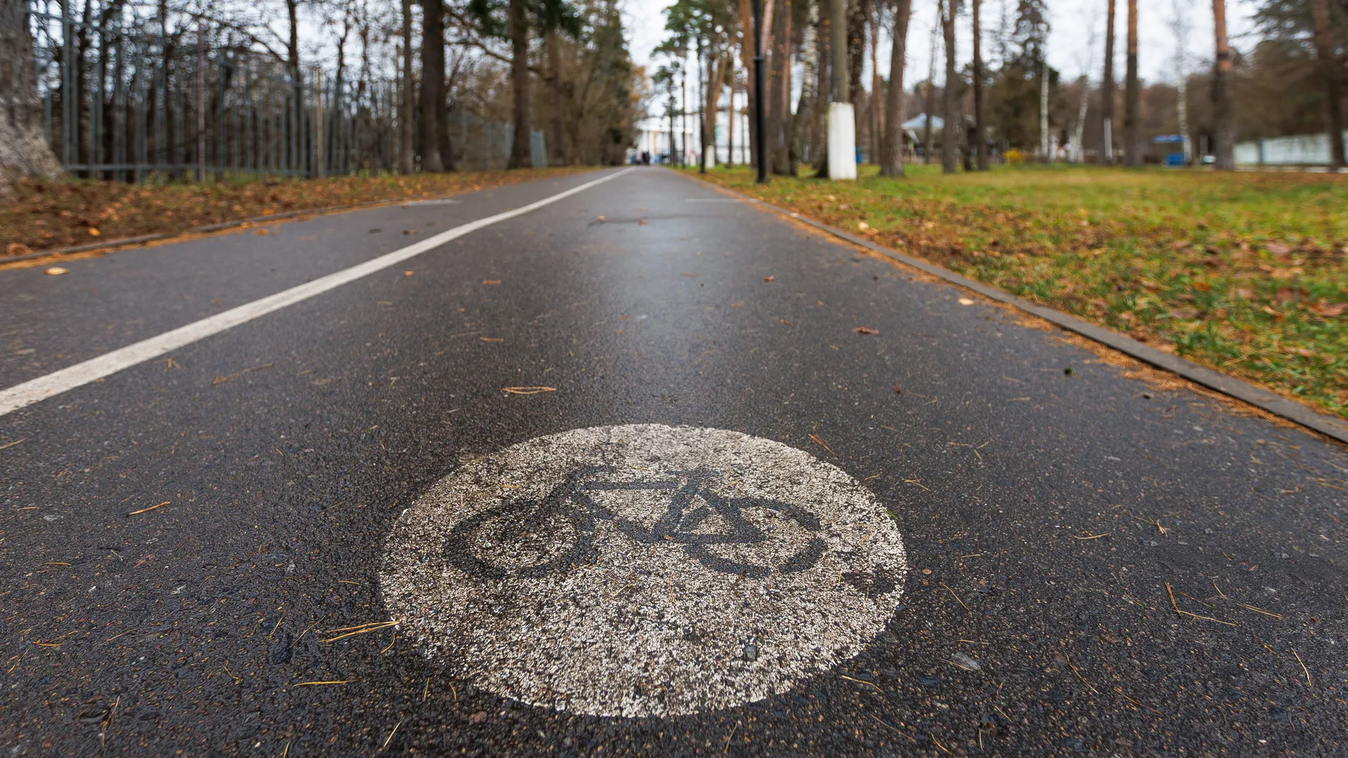 Велодорожка в Глуховском парке Ногинска осенью