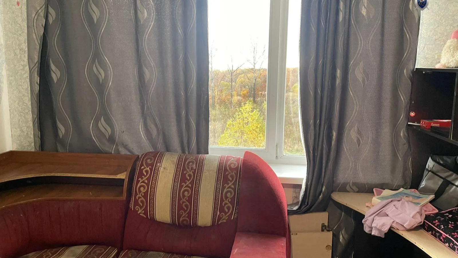 Пресс-служба следственного комитета Хабаровского края.