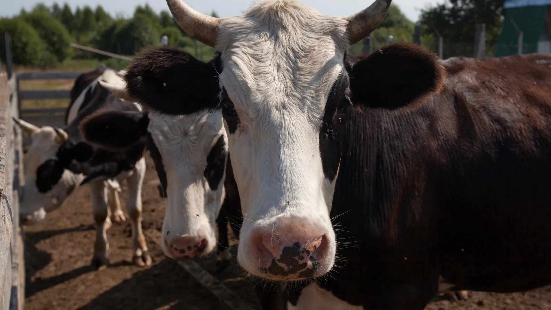 Медиасток.рф