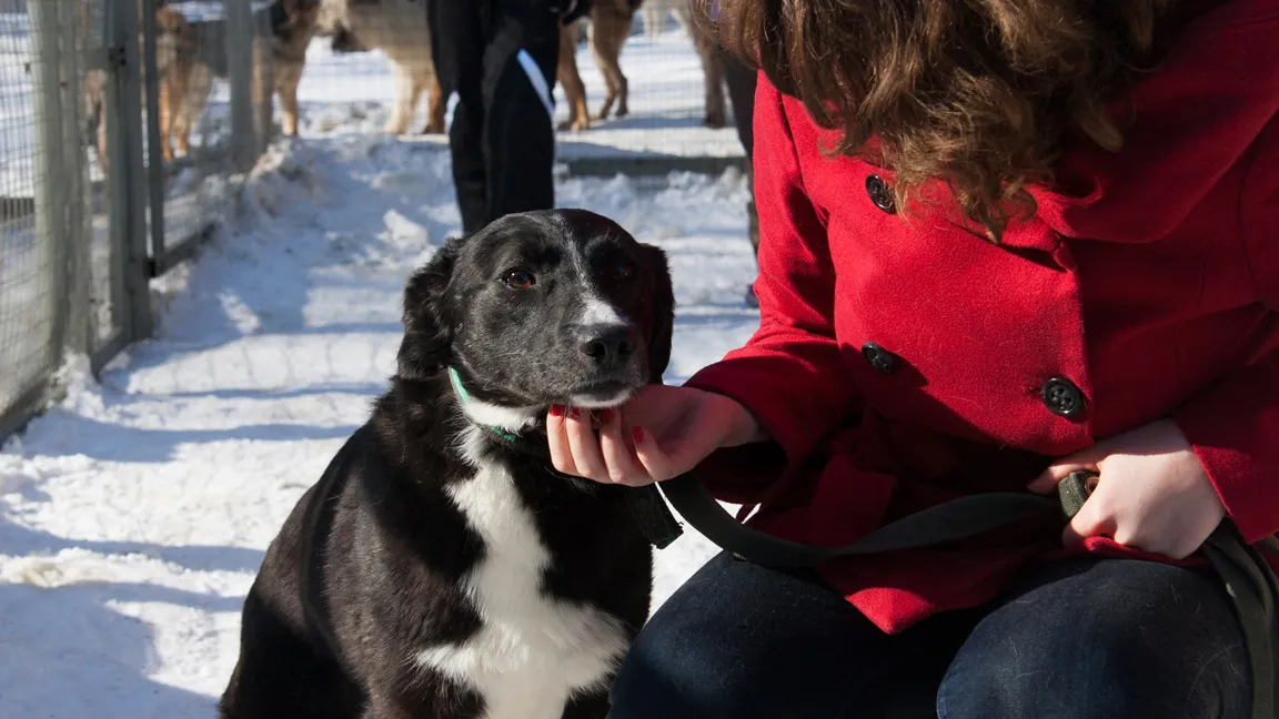 Медиасток.рф