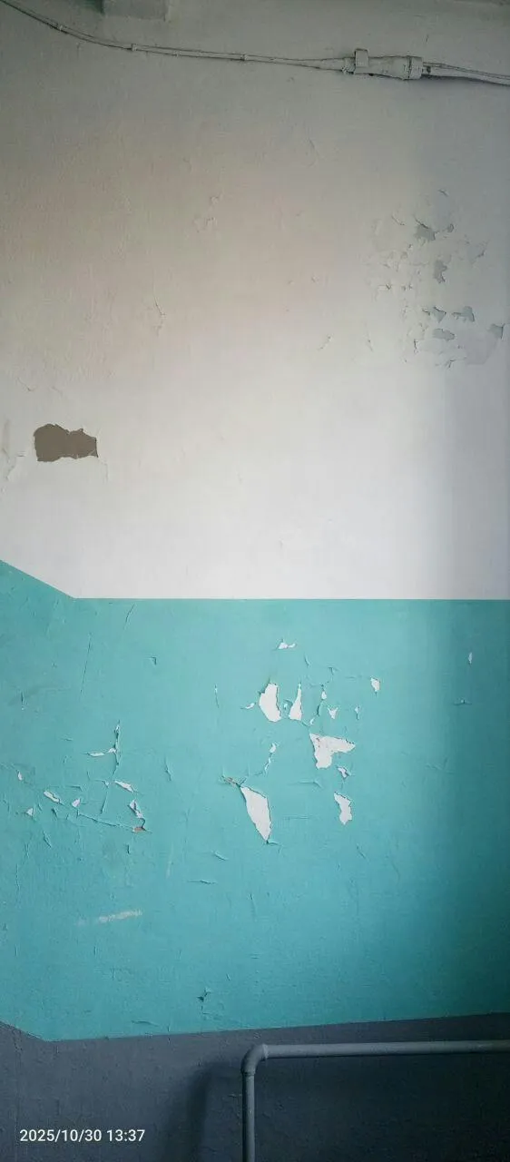 предоставлено собеседницей