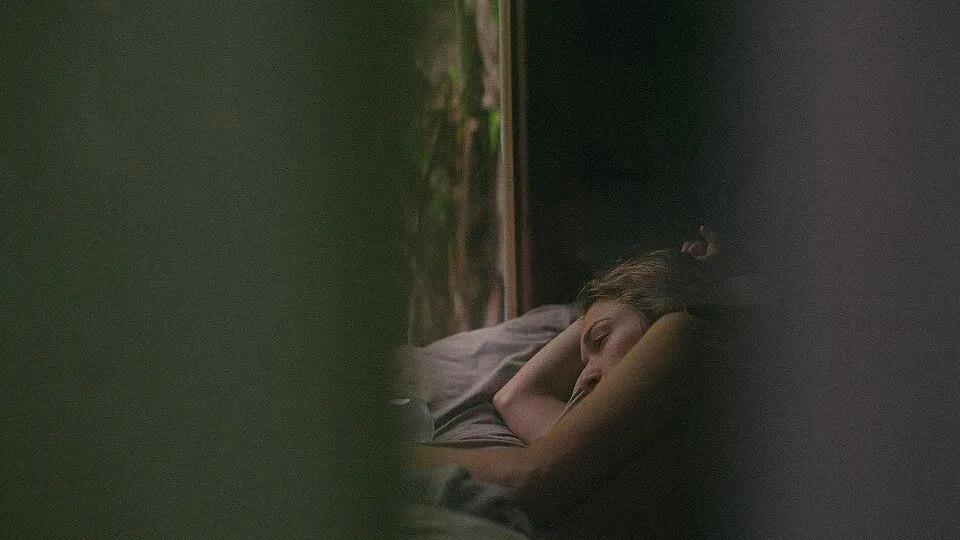 фото: Jordan Bauer/wikimedia