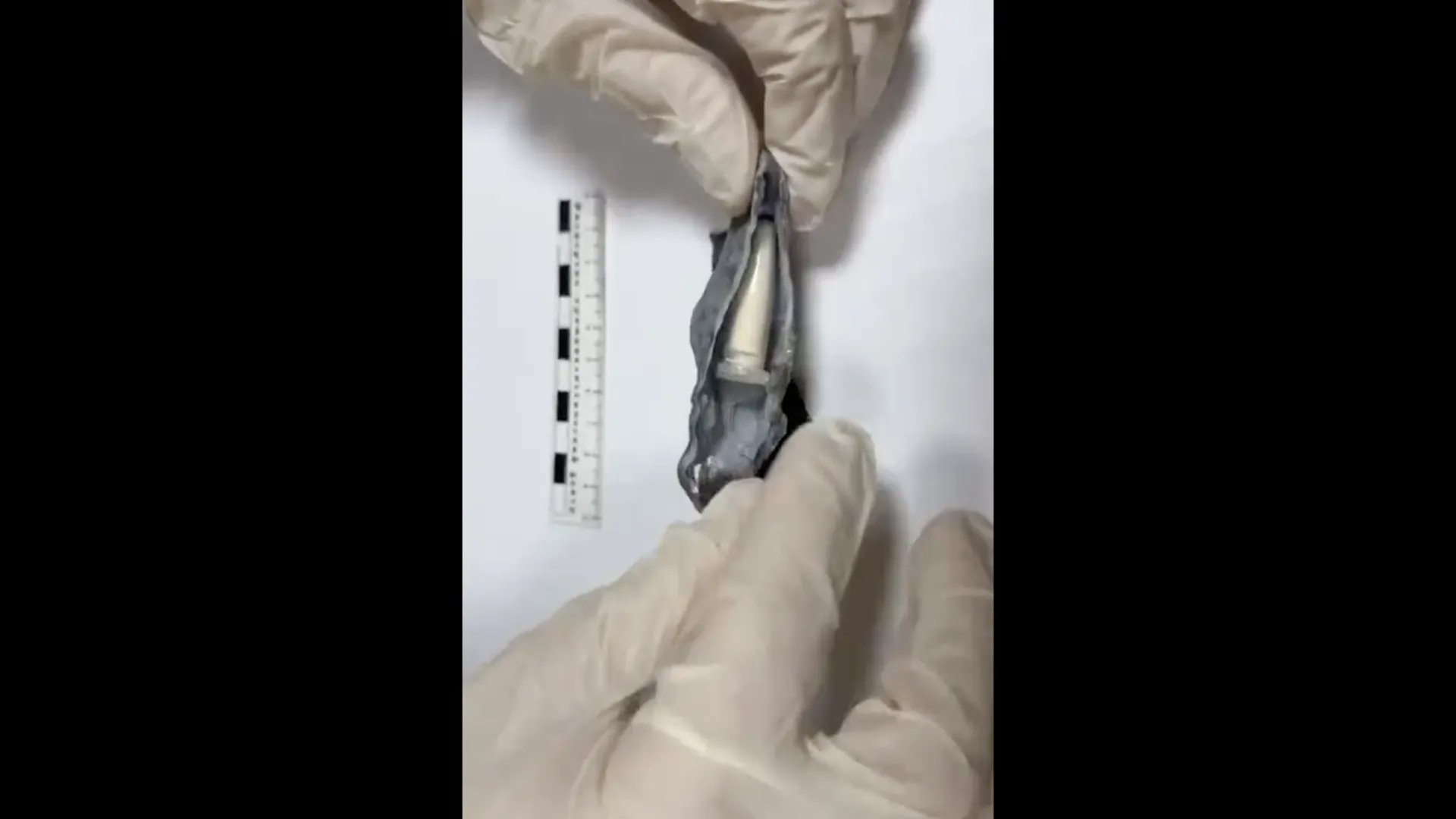 УМВД России по Новороссийску / Скриншот видео