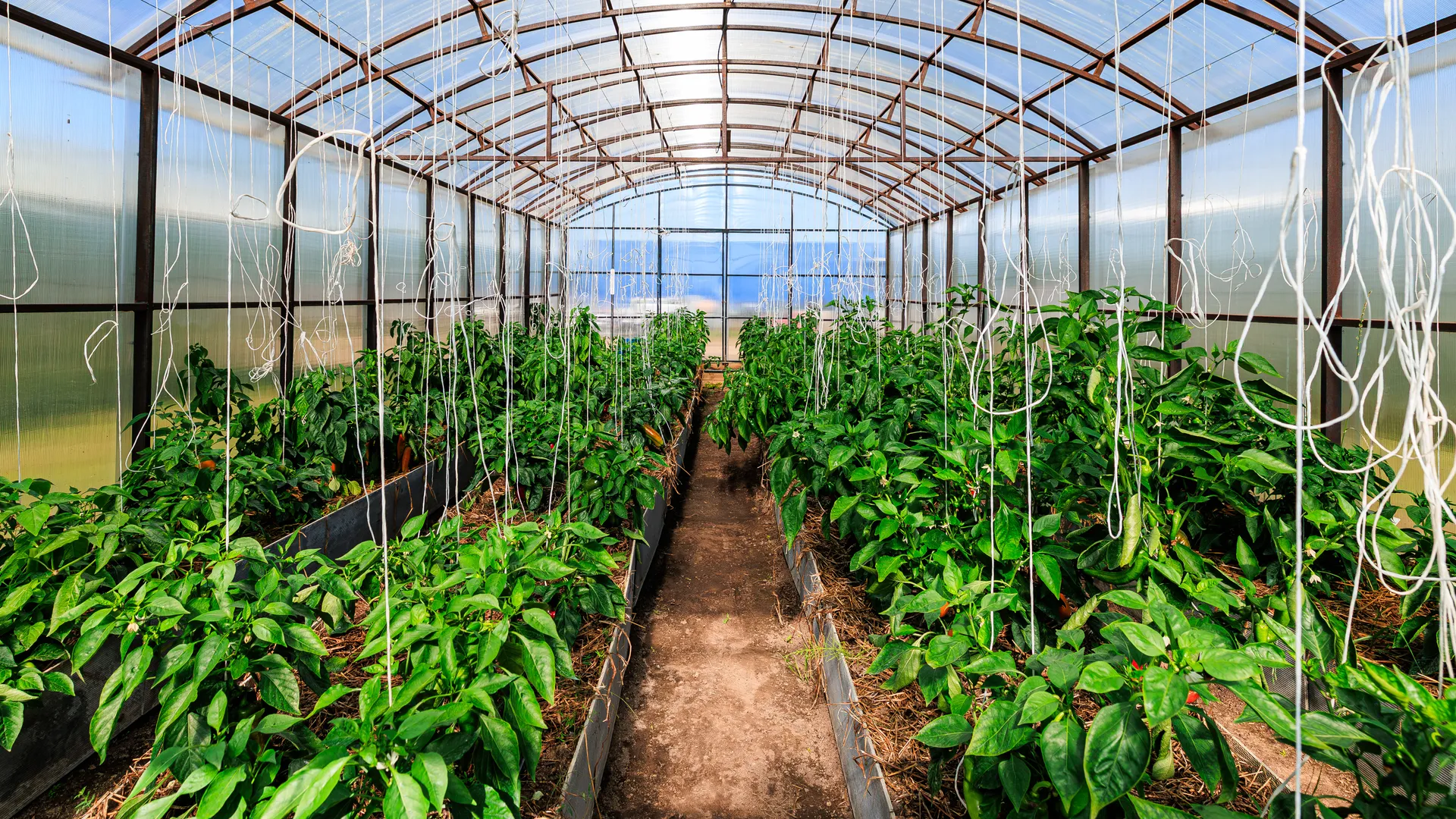 Медиасток.рф