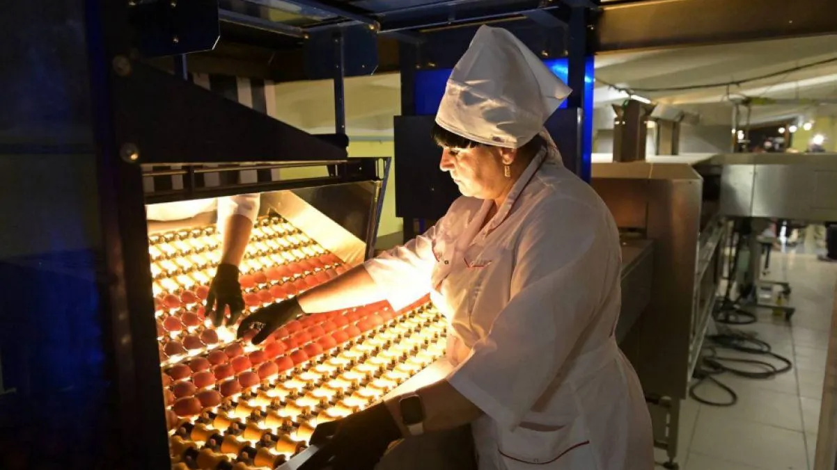 Пресс-служба министерства сельского хозяйства и продовольствия Хабаровского края