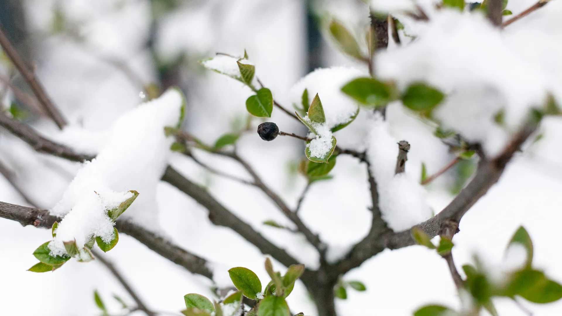 Весна в городе Дзержинский