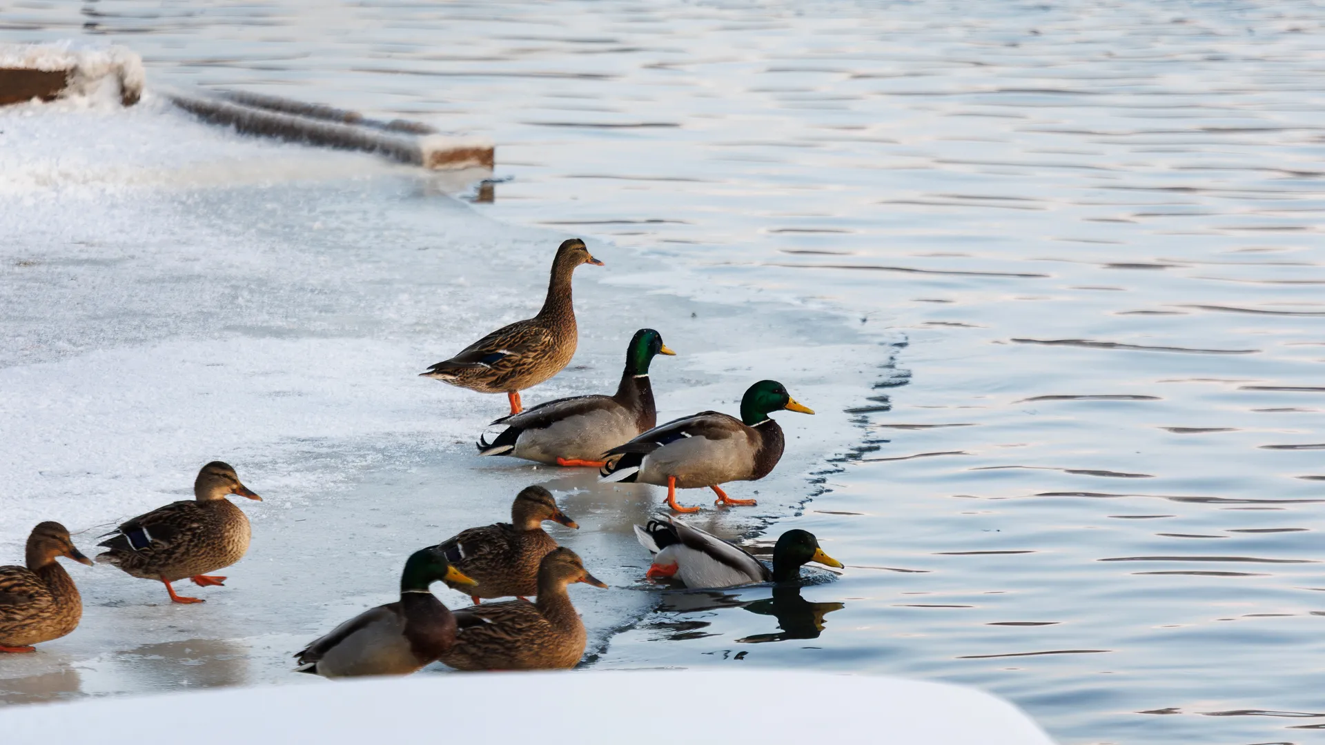 Медиасток.рф