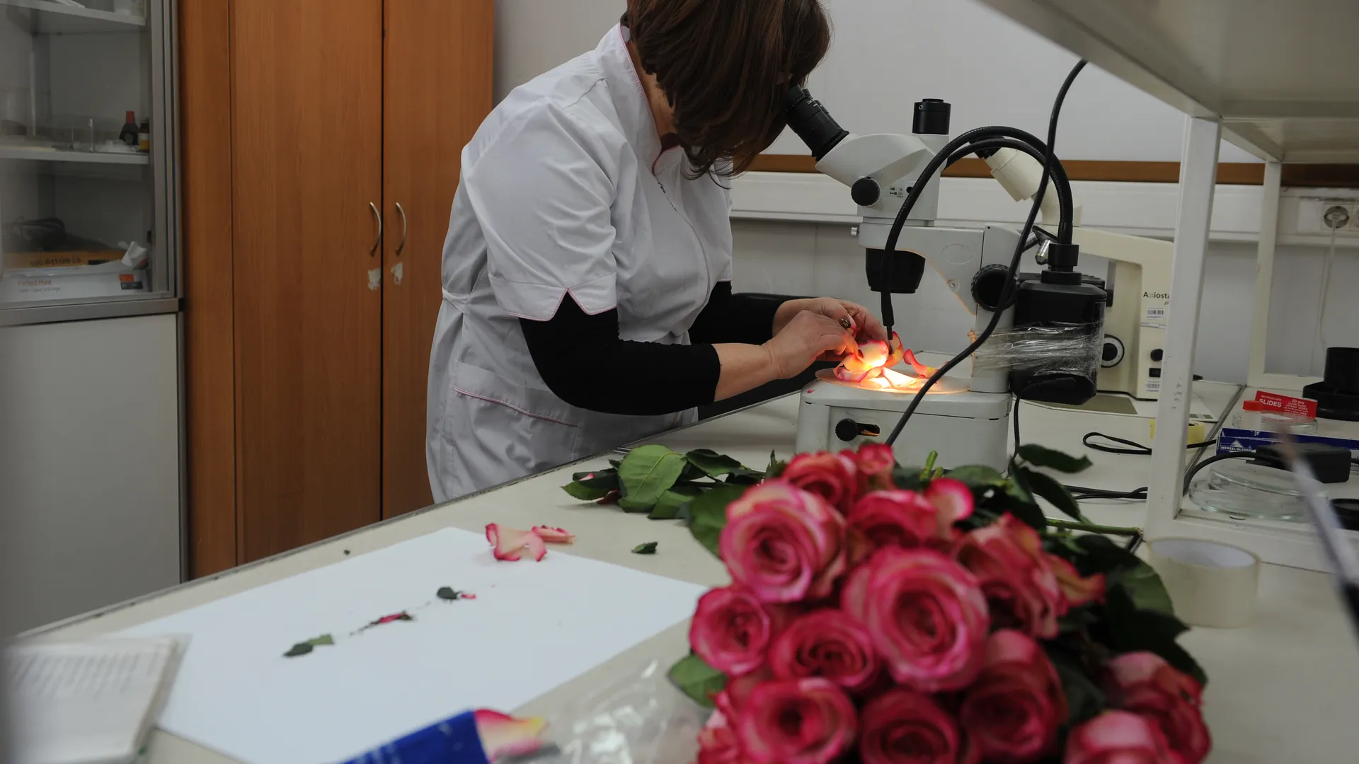 Таможенный пост в Солнечногорском районе