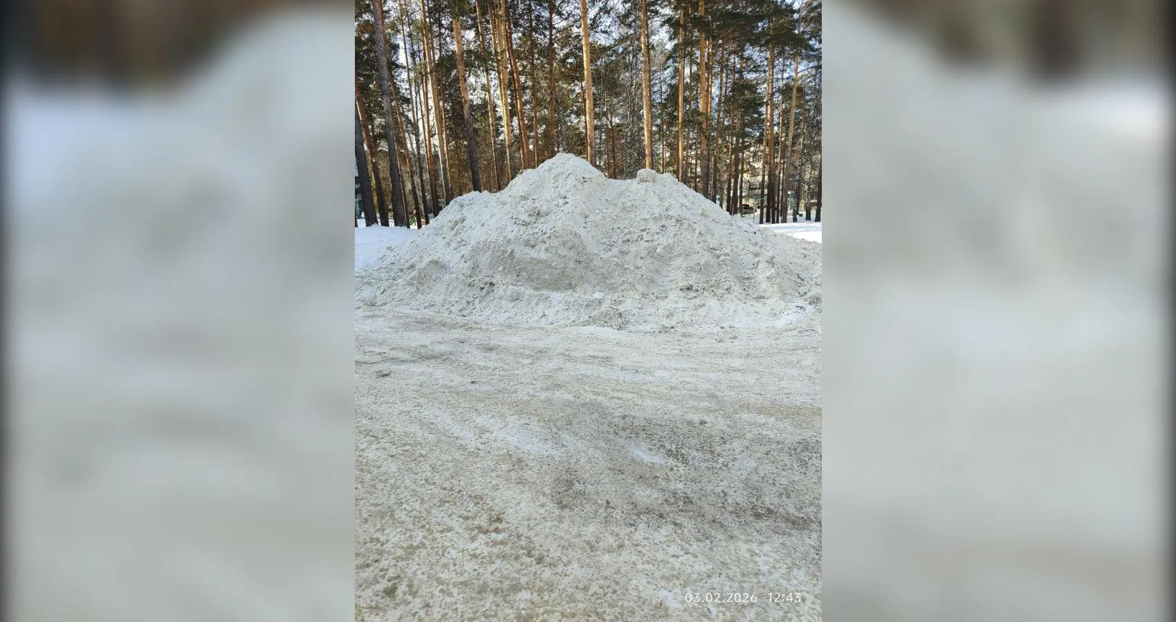 предоставлено собеседником