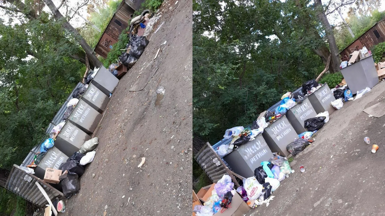 предоставлено собеседницей