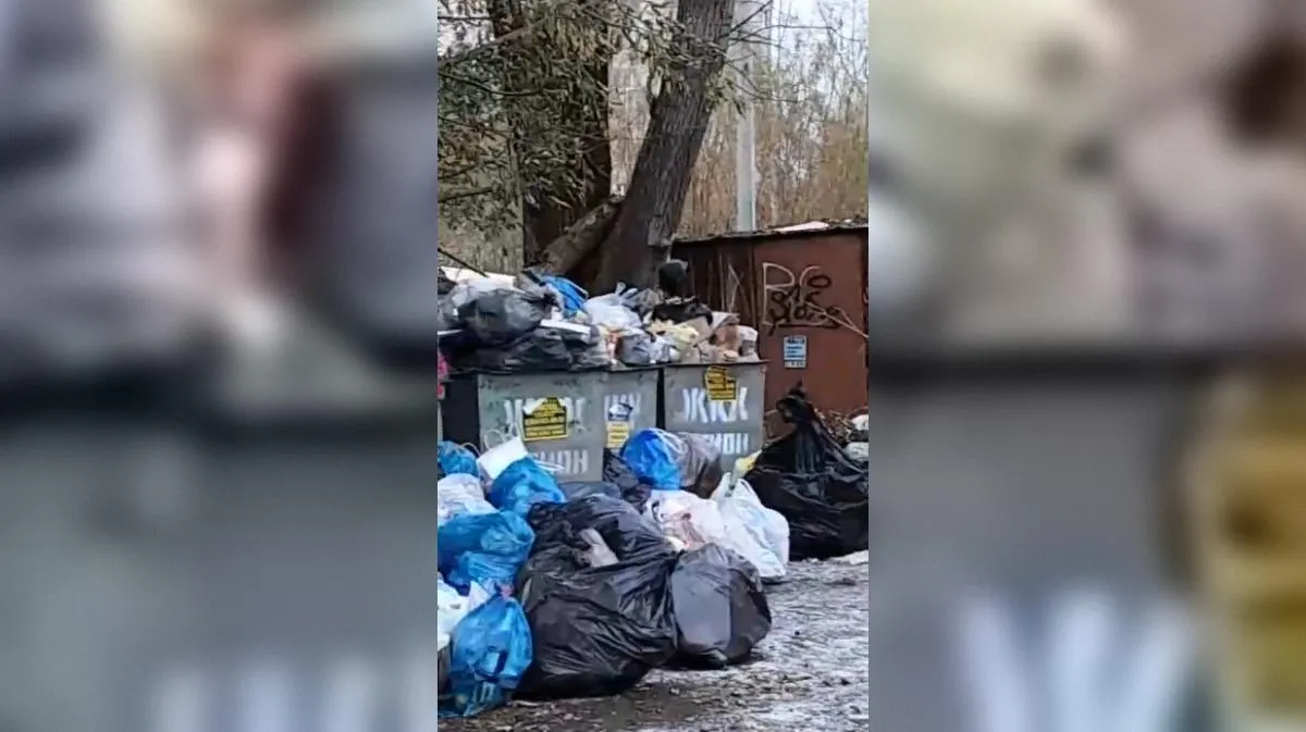 предоставлено собеседницей