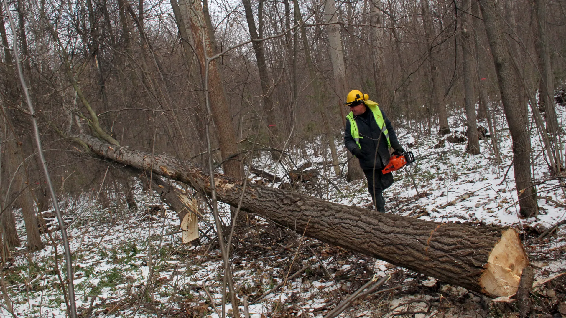 Медиасток.рф