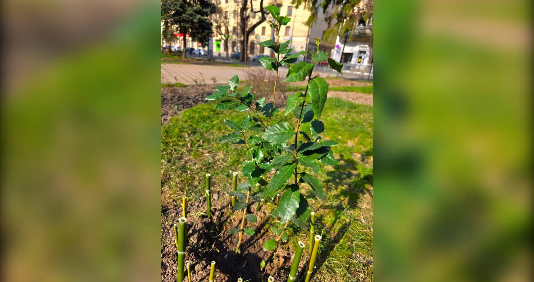 предоставлено собеседником