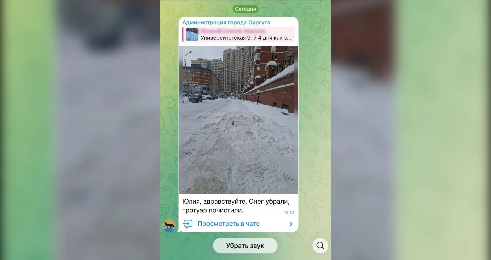 предоставлено собеседницей