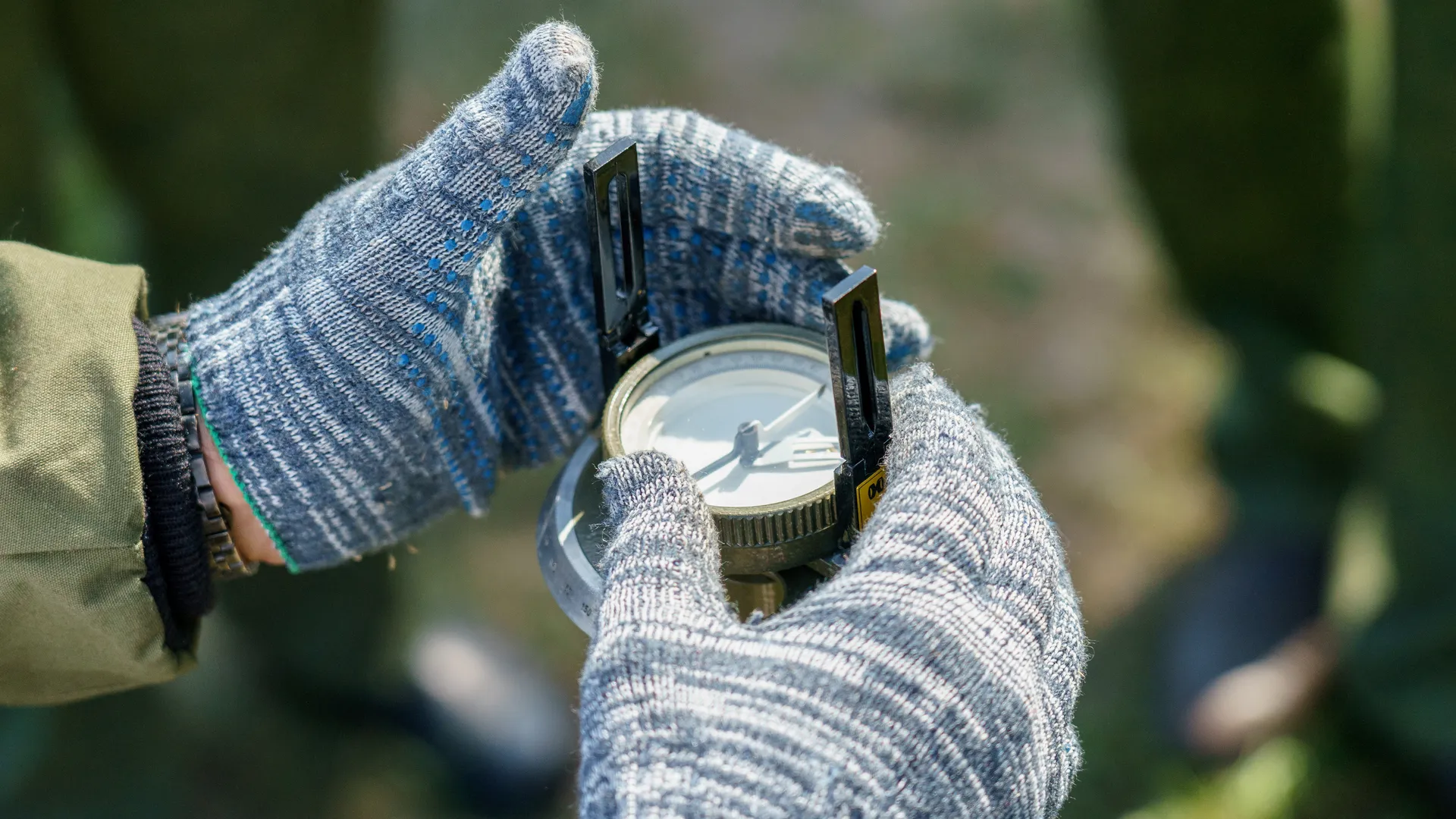 Областной смотр-конкурс на звание "Лесник года" 2024 в округе Воскресенск