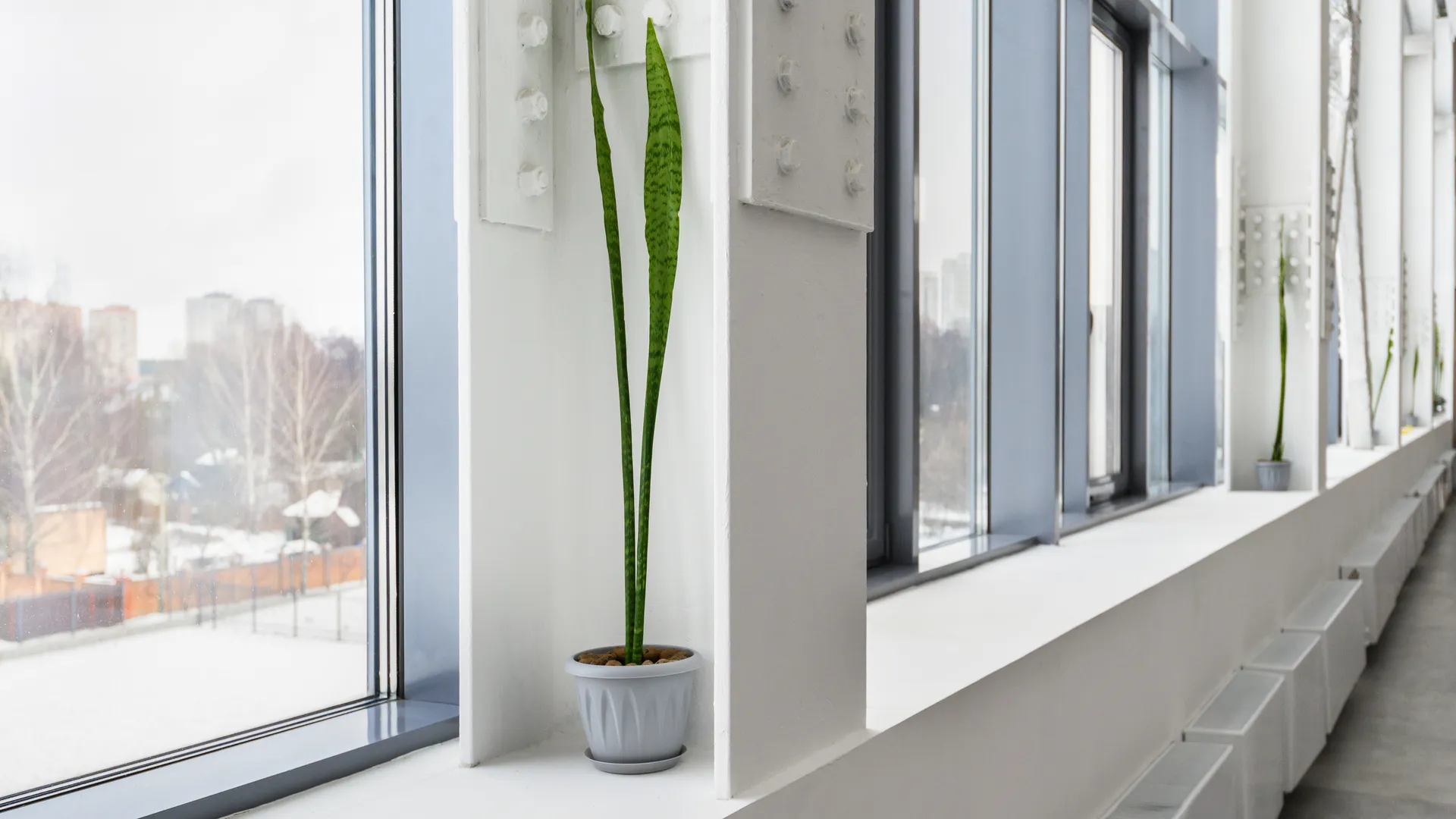 Новая школа №27 «Прометей» в ЖК «Пехра» в Балашихе