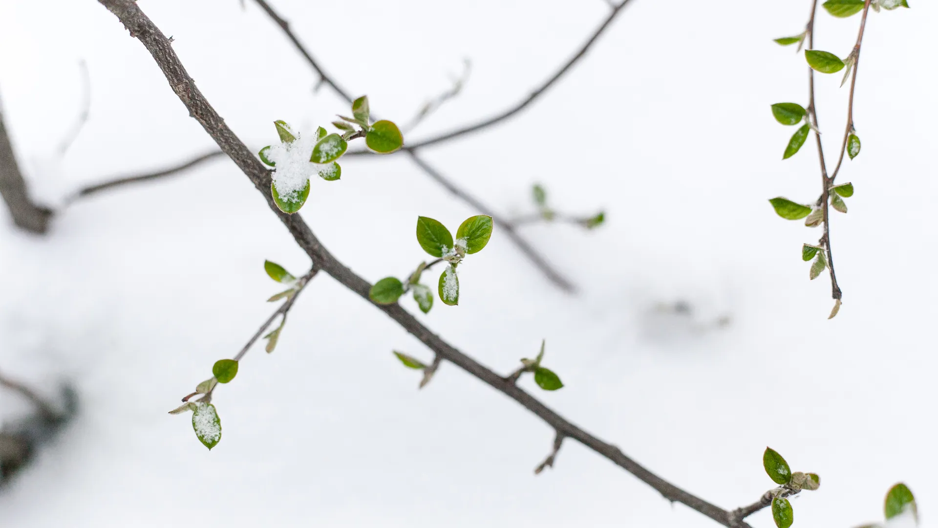 Весна в городе Дзержинский