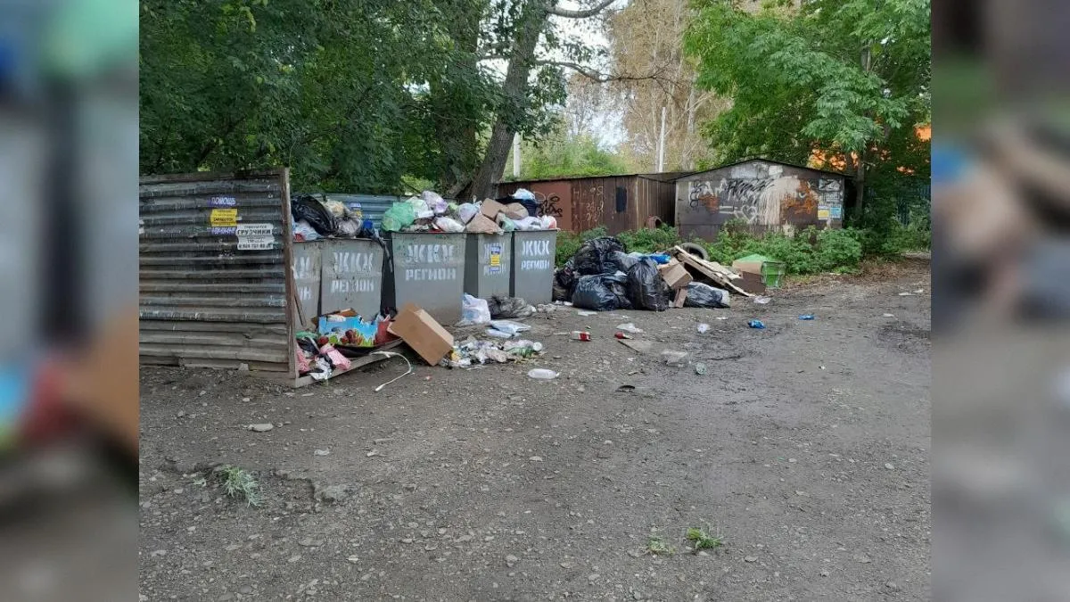 предоставлено собеседницей