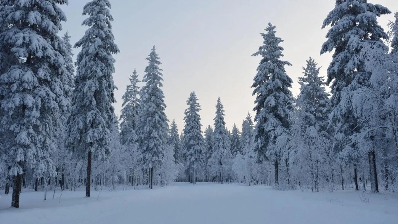 сгенерировано нейросетью ChatGPT