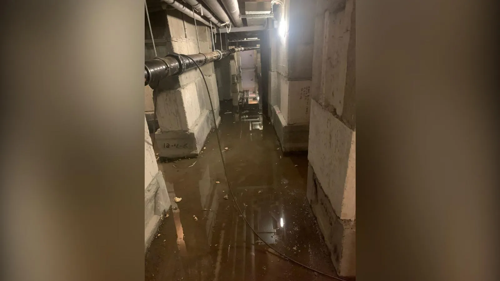 предоставлено собеседницей