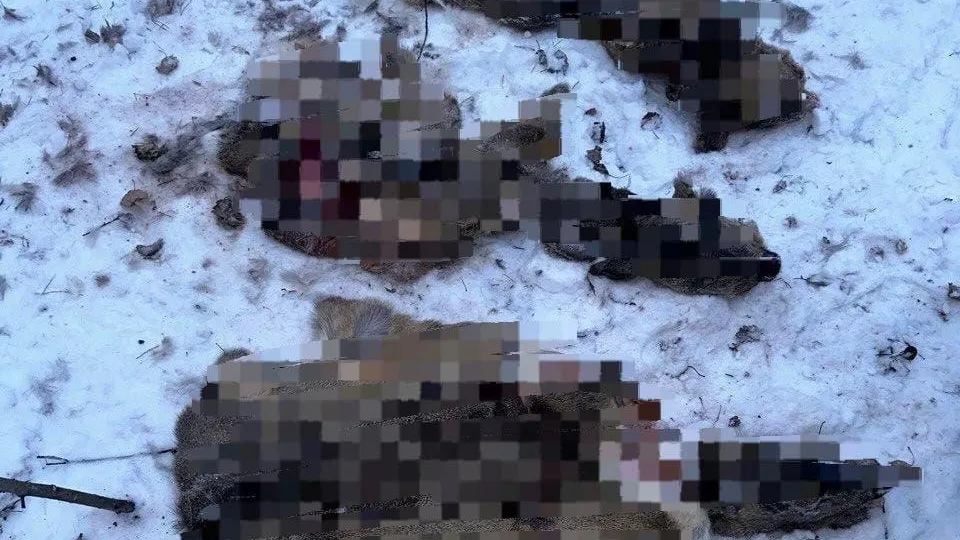 Пресс-служба прокуратуры Иркутской области.