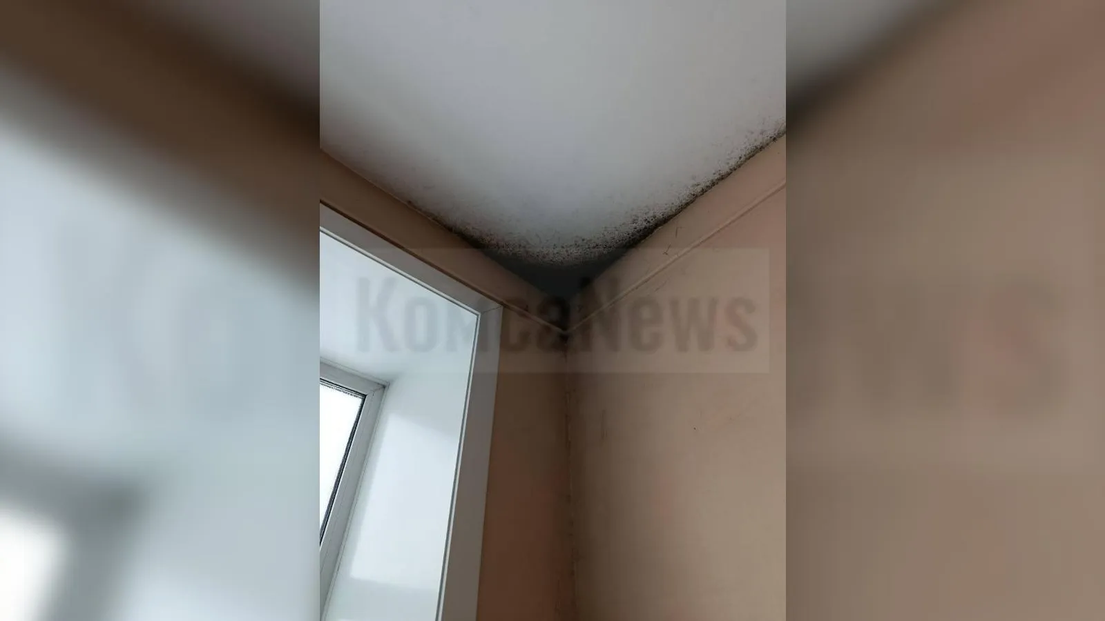 предоставлено собеседницей