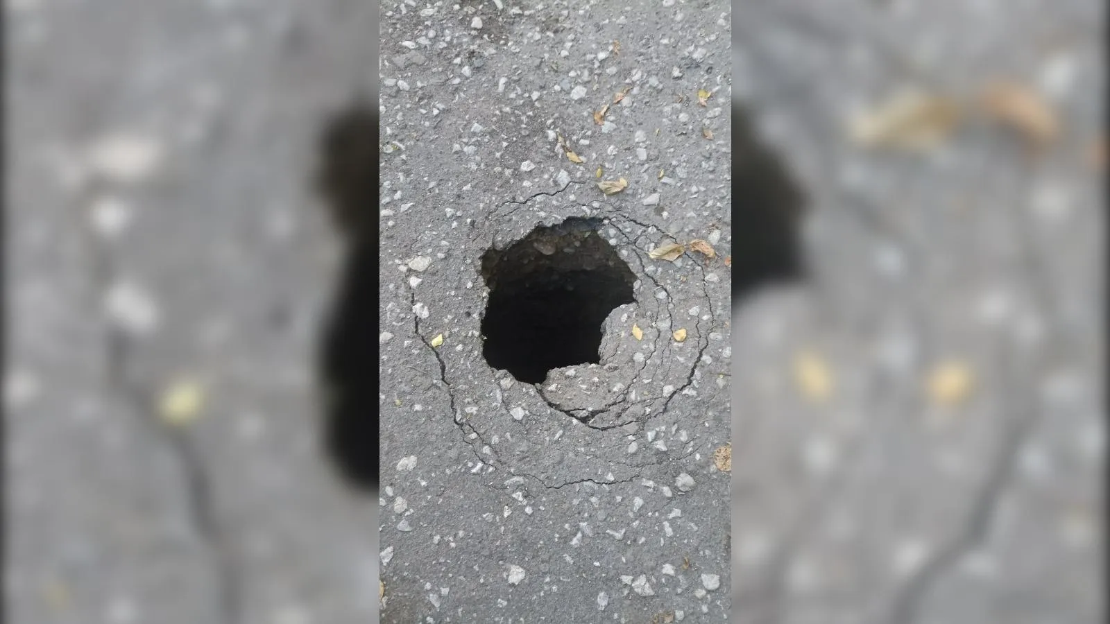 предоставлено собеседницей