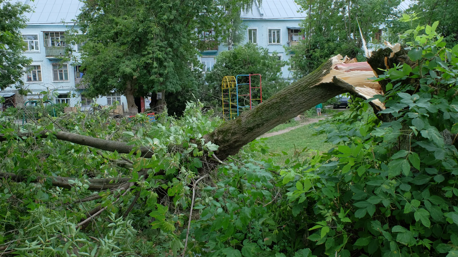Последствия урагана