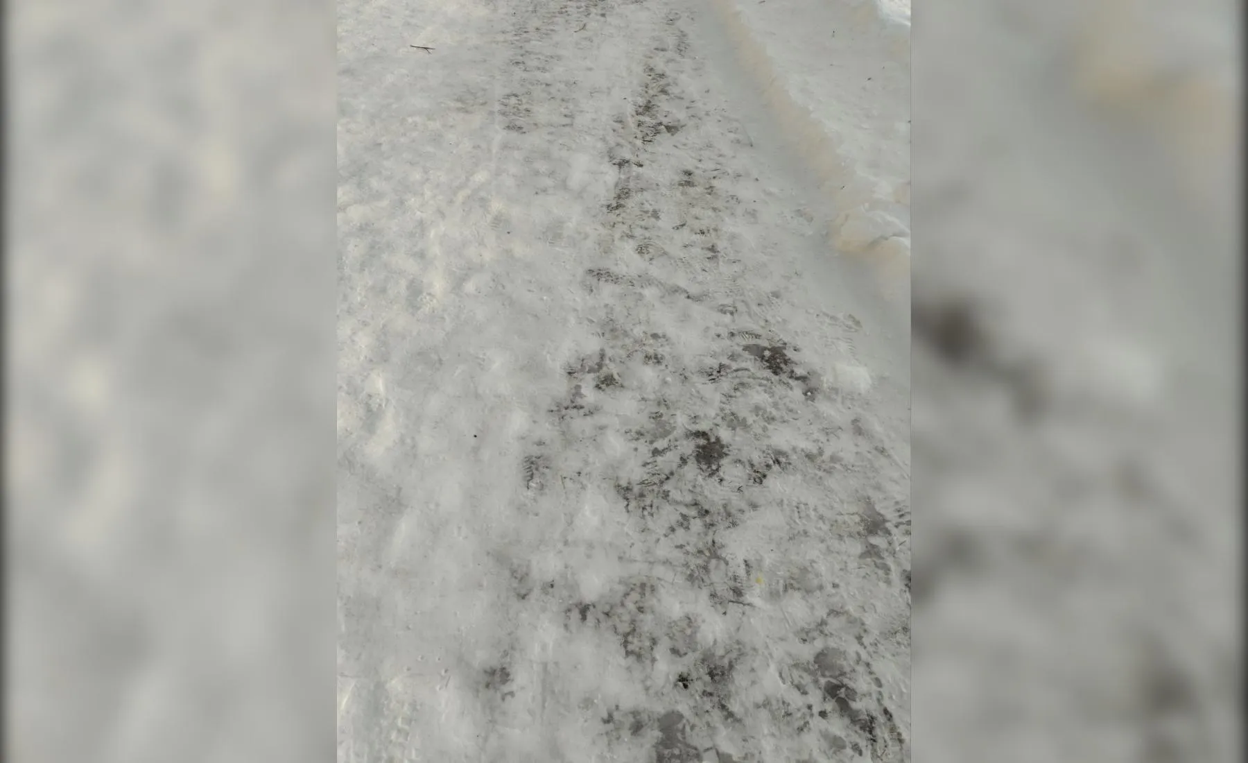 предоставлено собеседницей