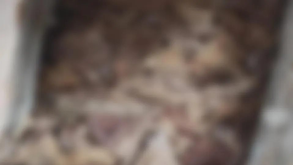 Южное межрегиональное управление Россельхознадзора