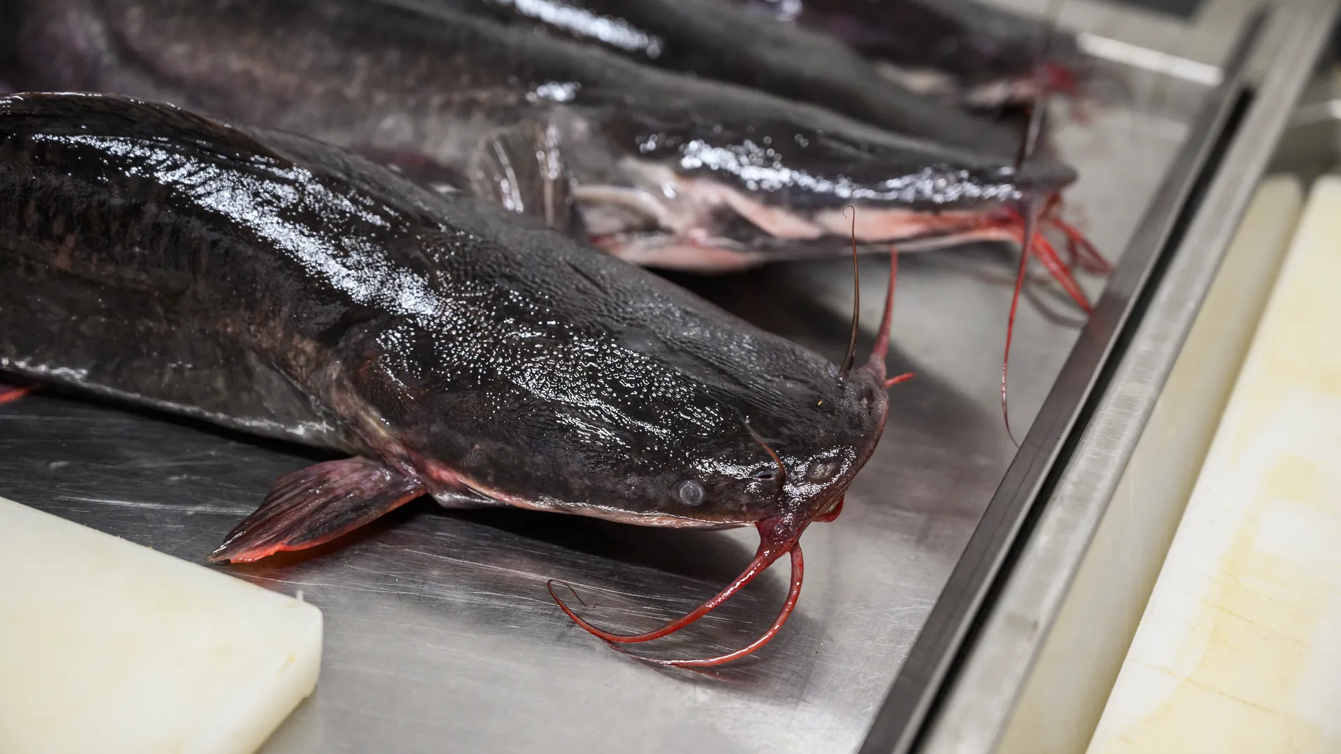 Медиасток.рф