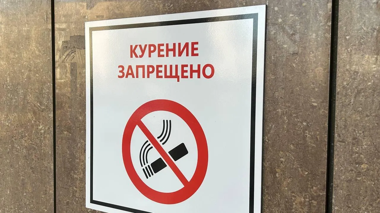 «ПроЦемес» / Екатерина Волкова