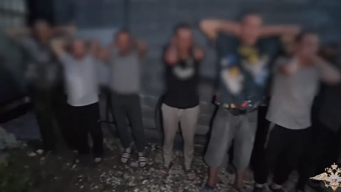 скриншот видео, официальный представитель МВД России Ирина Волк