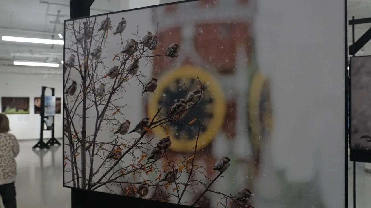 «Челны Live» / Екатерина Волкова