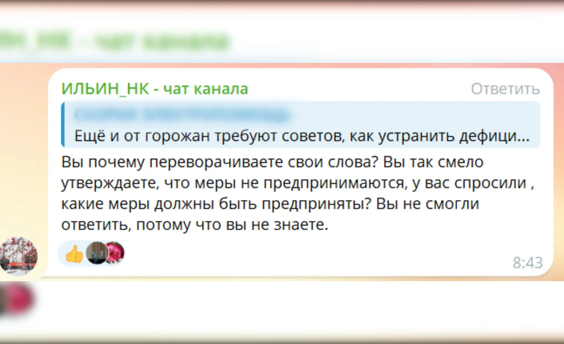 скриншот чата в Telegram-канале Дениса Ильина