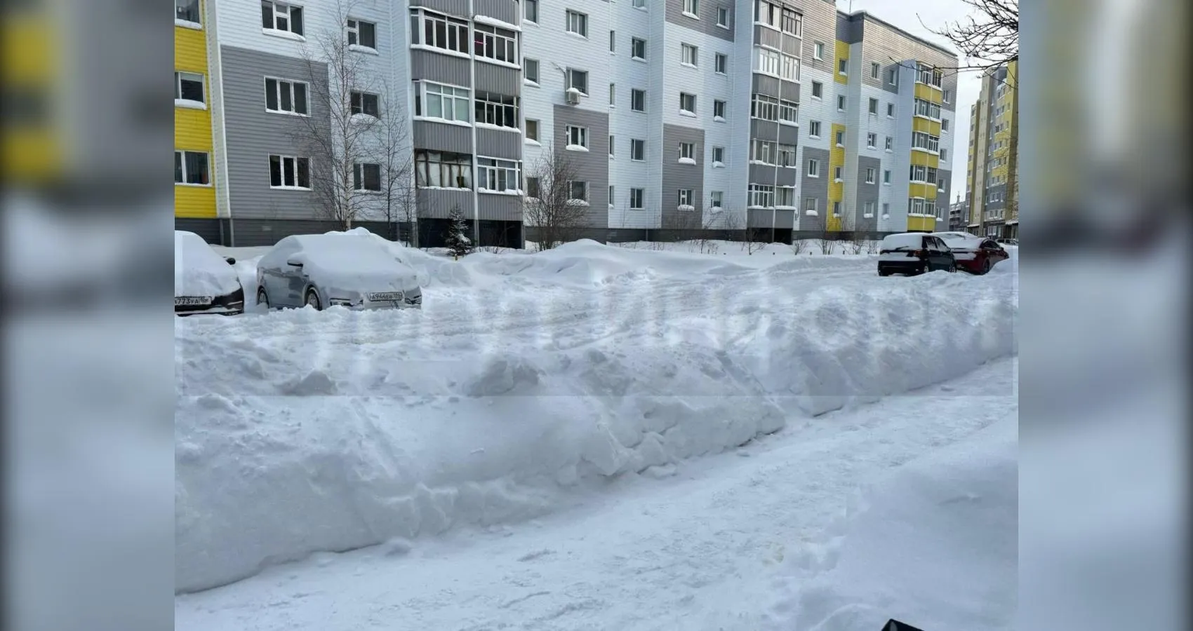 предоставлено собеседником