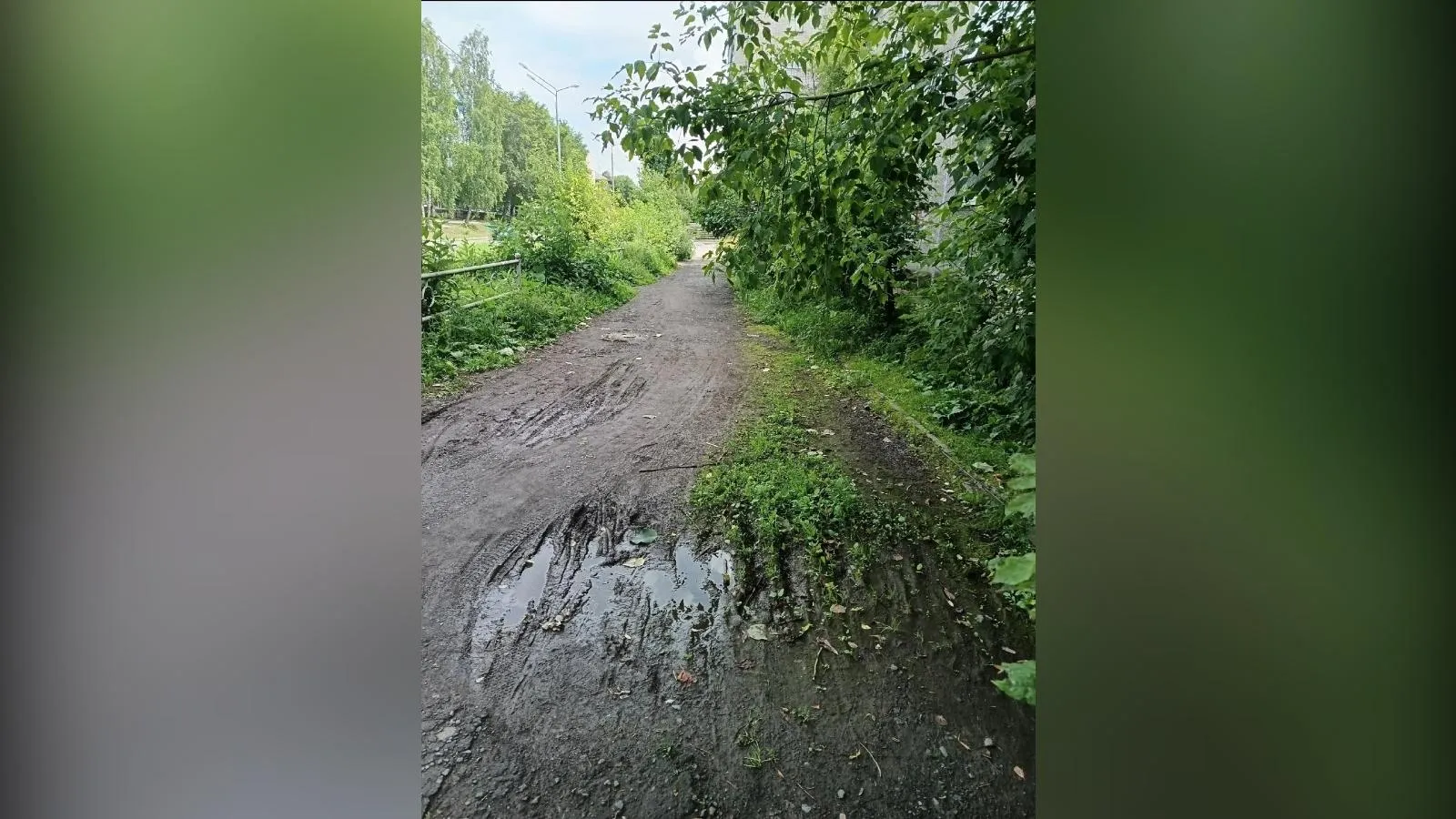 предоставлено собеседницей