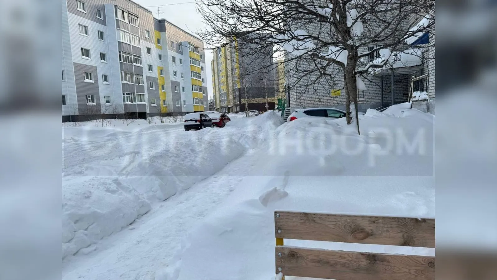 предоставлено собеседником