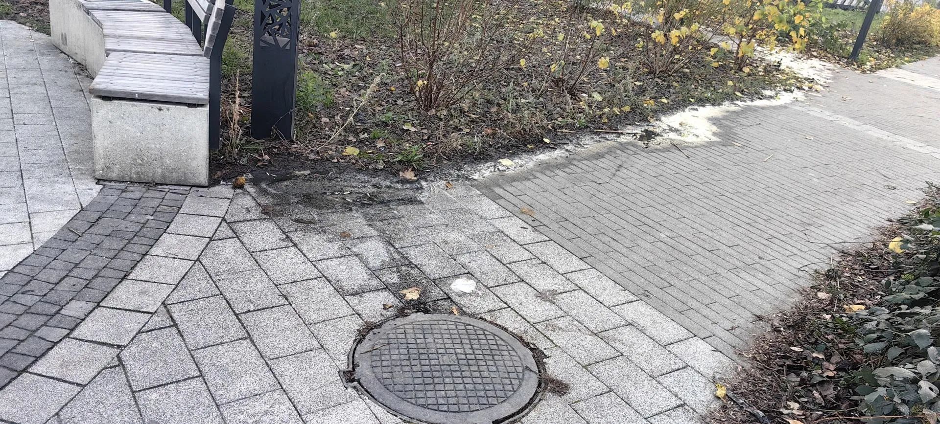 предоставлено собеседником