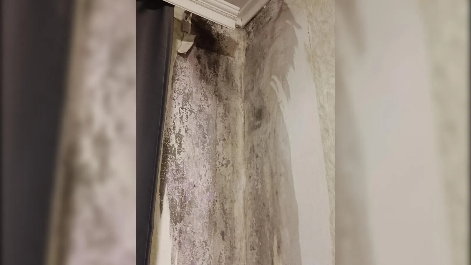 предоставлено собеседником