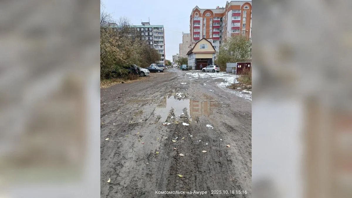 предоставлено собеседником