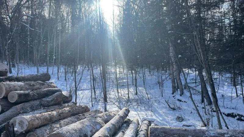 Пресс-служба полиции Хабаровского края.