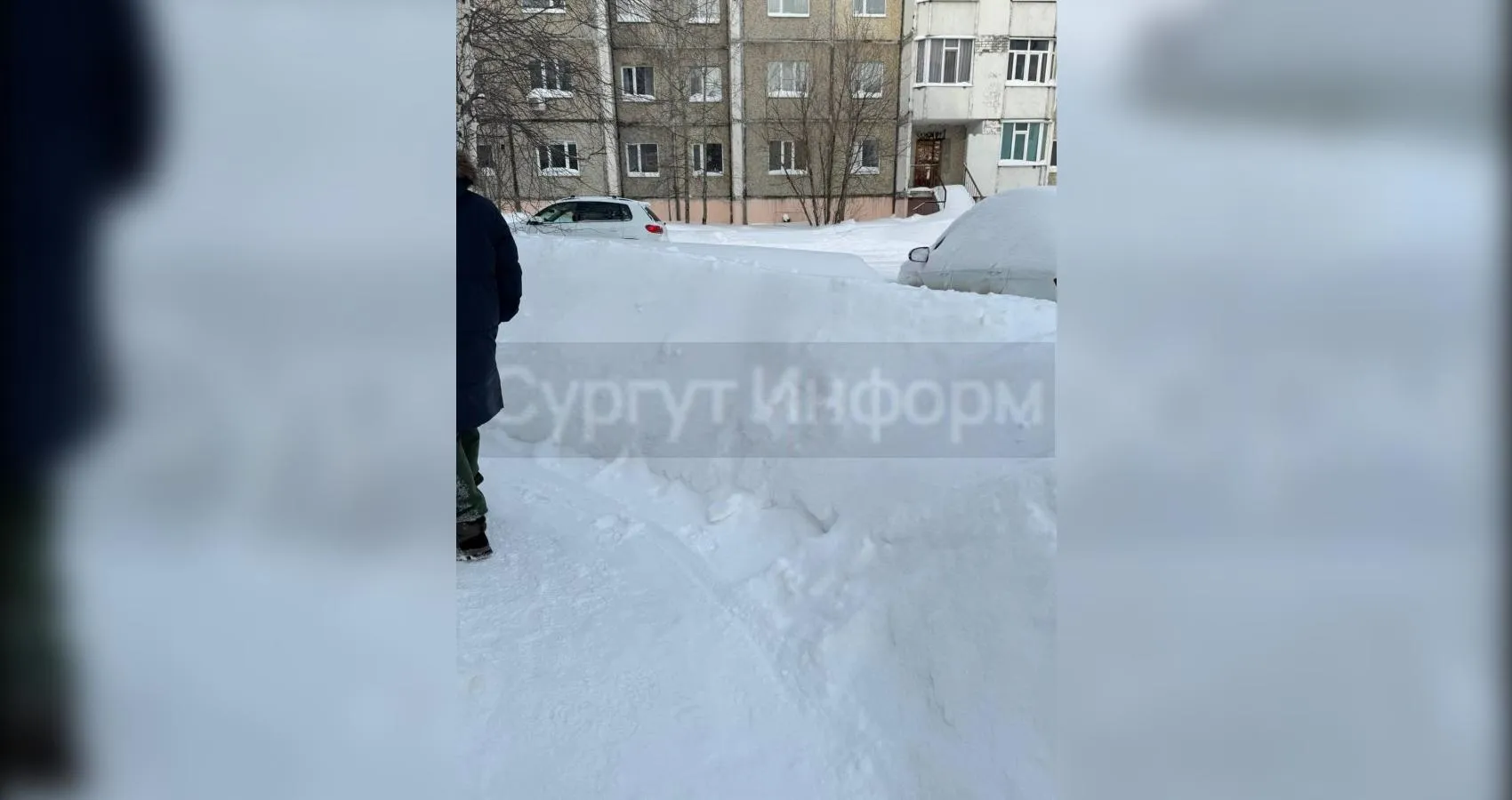 предоставлено собеседником