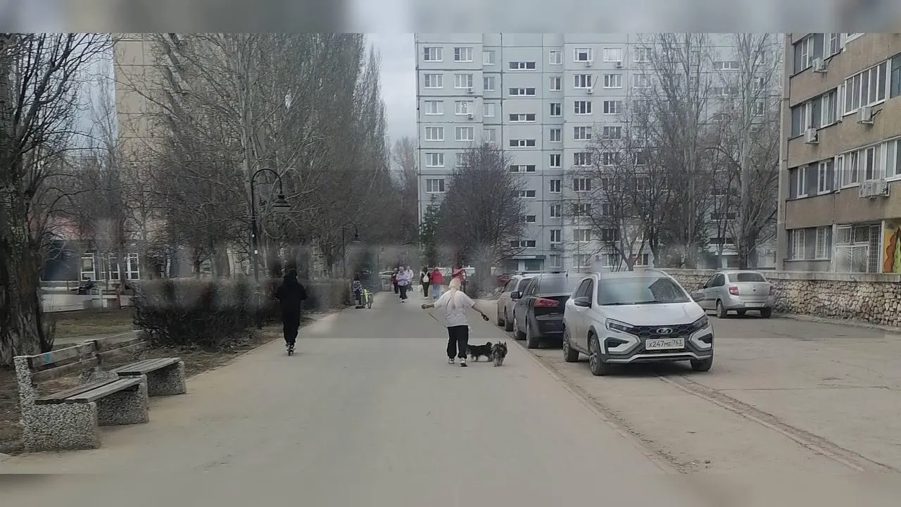 предоставлено собеседницей