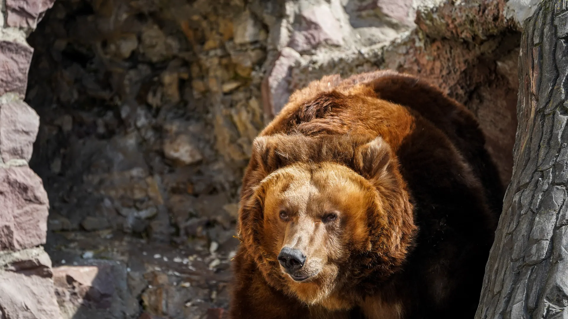 Медиасток.рф